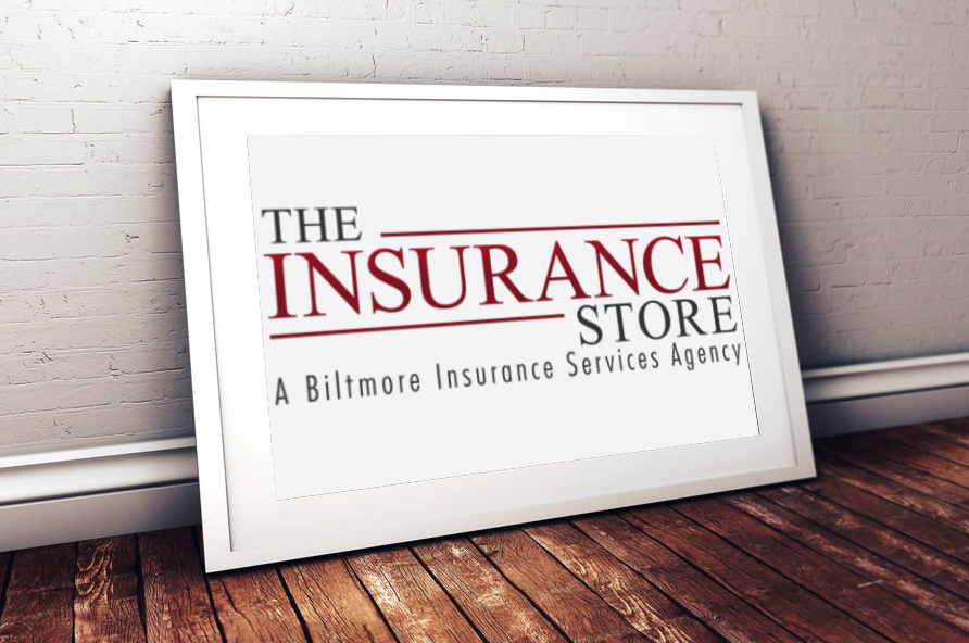 the-insurance-store-logo-framed